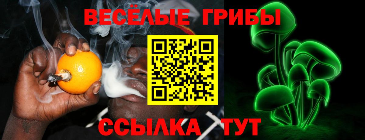 Кувандык  Псилоцибиновые грибы GOLDEN TEACHER  Вход с VPN  Псилоцибиновые грибы прущие грибы 